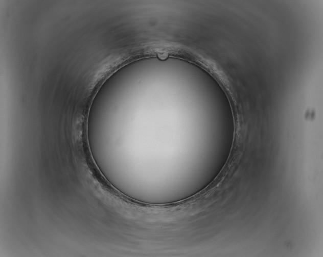 X0000089390010200706221328