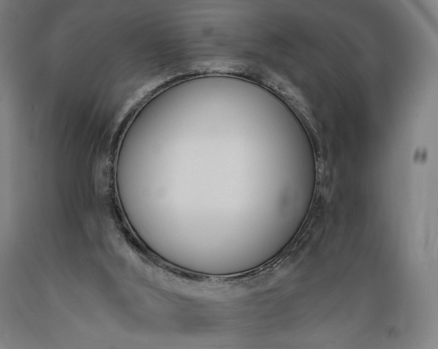 X0000089390012200706221328