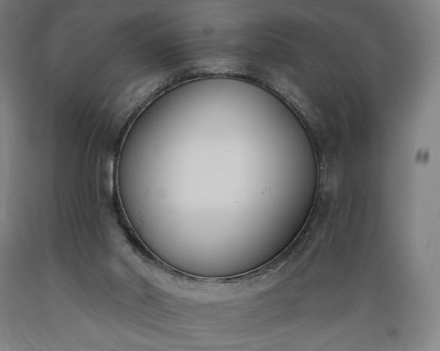 X0000089390014200706221328
