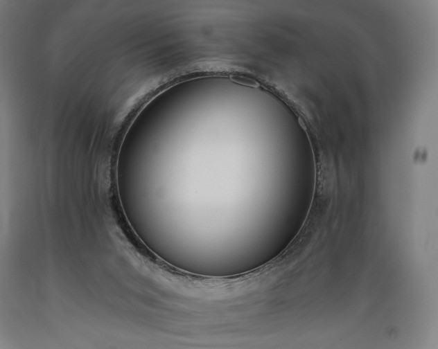 X0000089390015200706221328