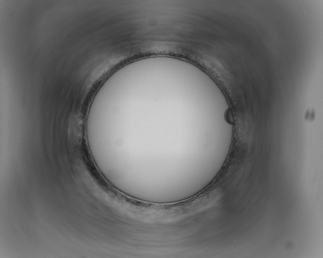 X0000089390016200706221328