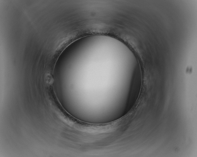 X0000089390017200706221328