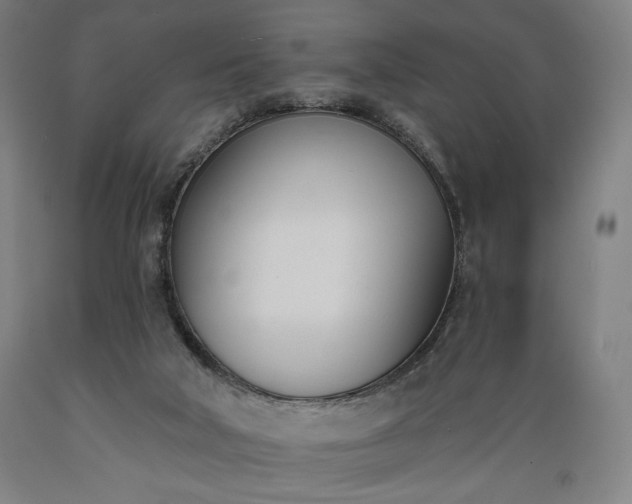 X0000089390018200706221328