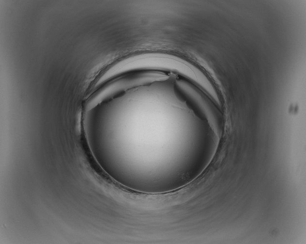 X0000089390019200706221328