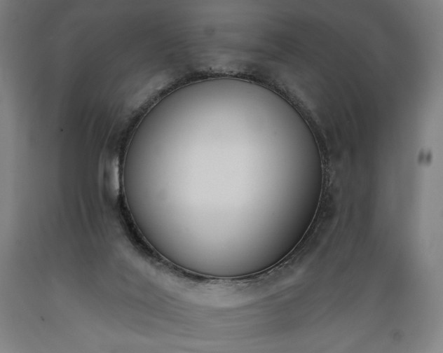 X0000089390020200706221328