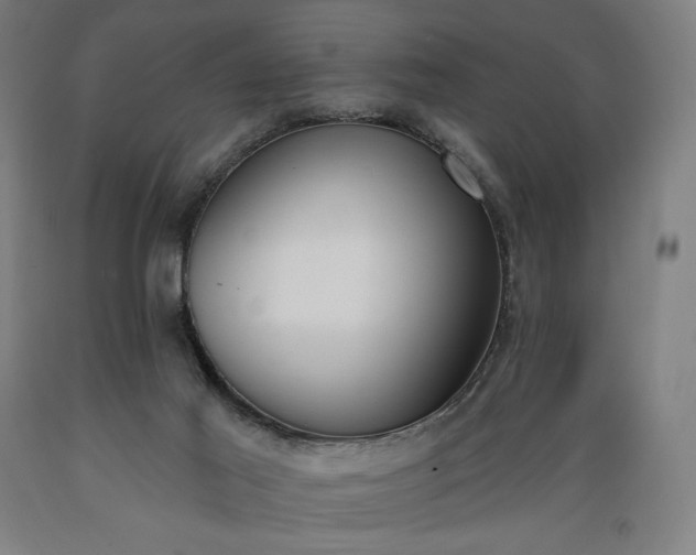 X0000089390021200706221328