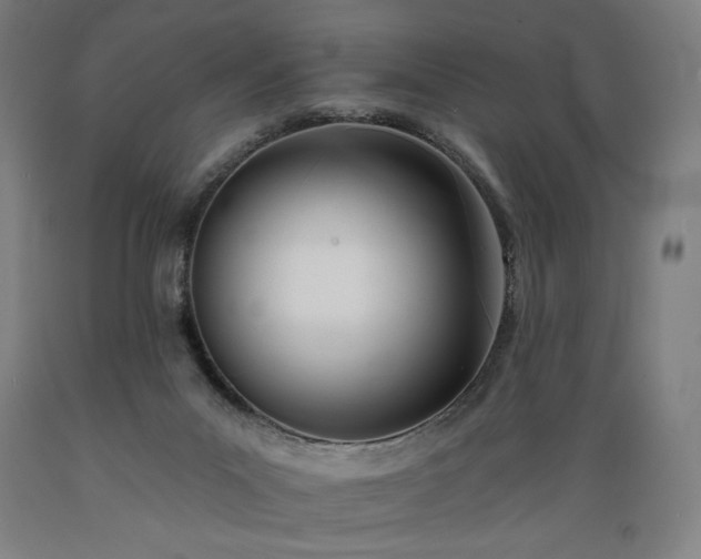 X0000089390023200706221328