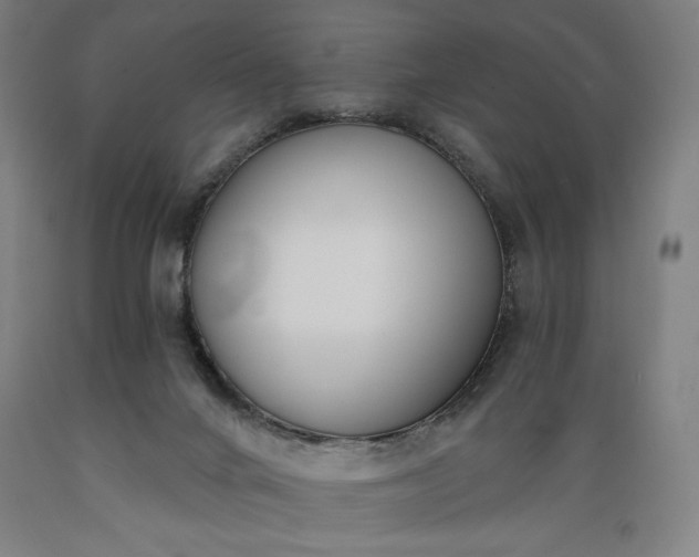 X0000089390024200706221328