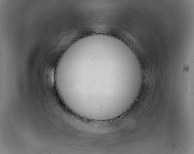 X0000089390028200706221328