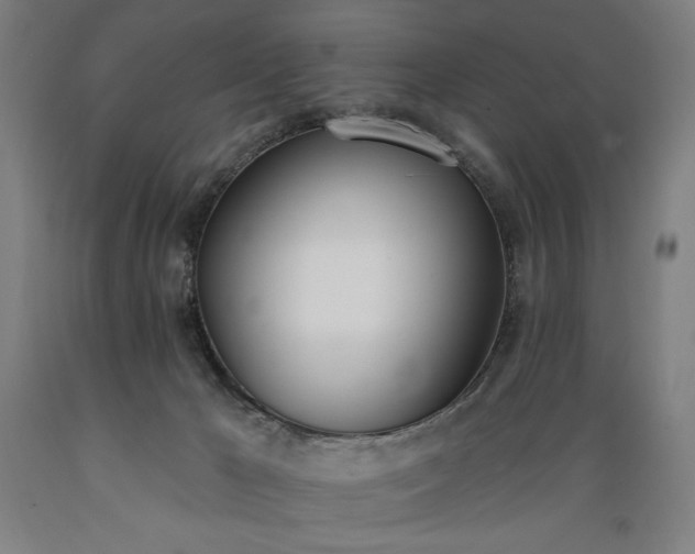 X0000089390029200706221328