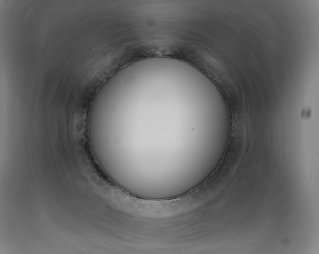 X0000089390030200706221328