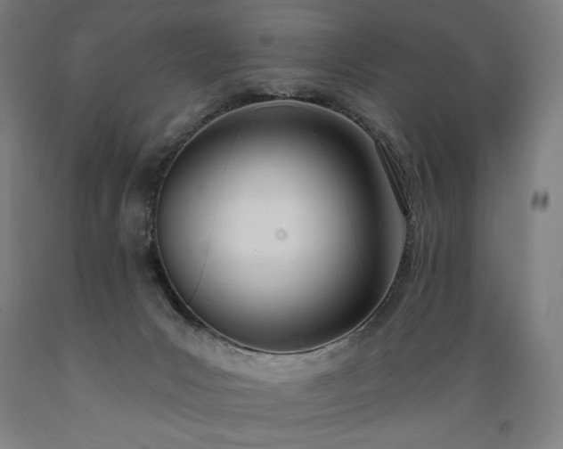 X0000089390031200706221328