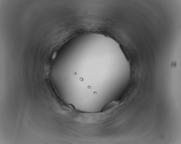 X0000089390033200706221328