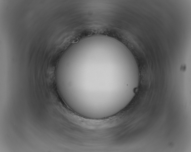 X0000089390034200706221328