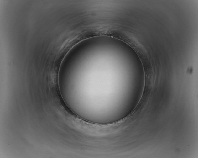 X0000089390035200706221328