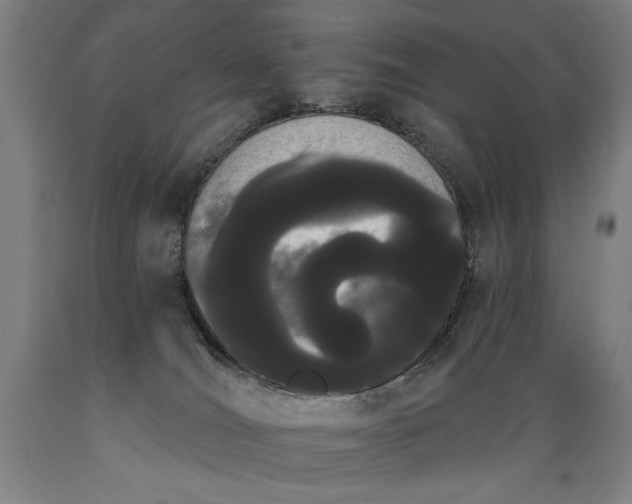 X0000089390036200706221328