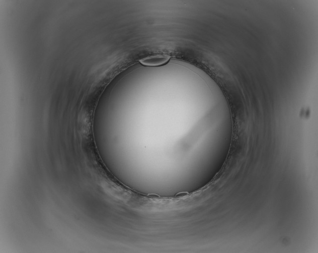 X0000089390037200706221328