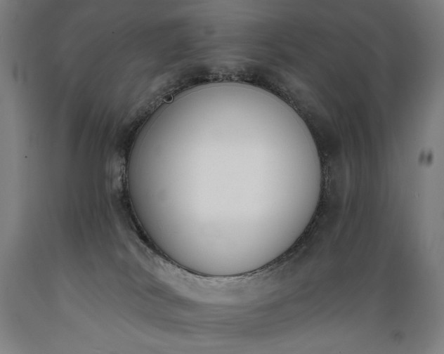 X0000089390038200706221328