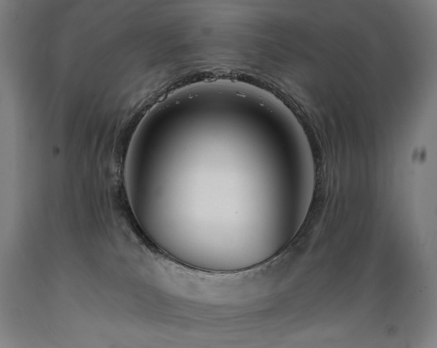 X0000089390039200706221328