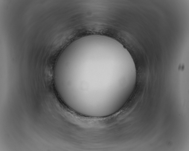 X0000089390040200706221328