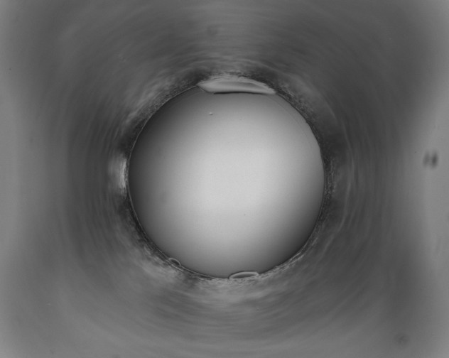 X0000089390041200706221328