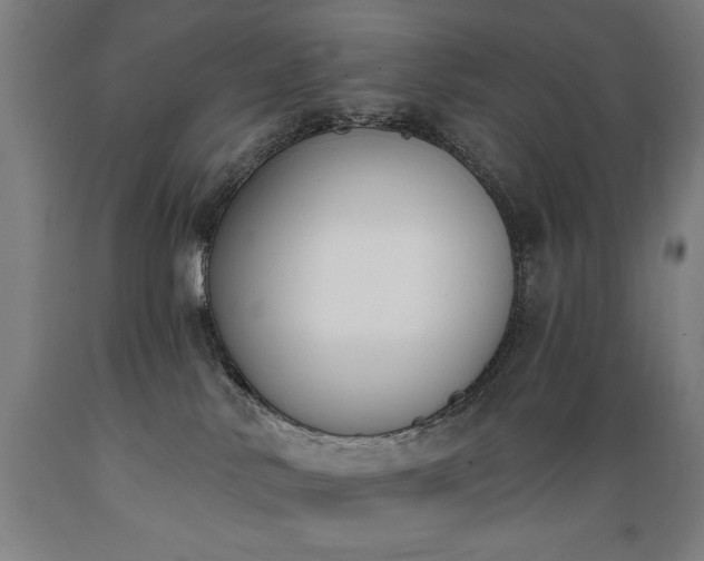 X0000089390042200706221328