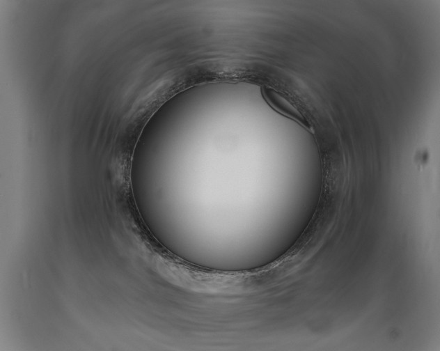 X0000089390044200706221328