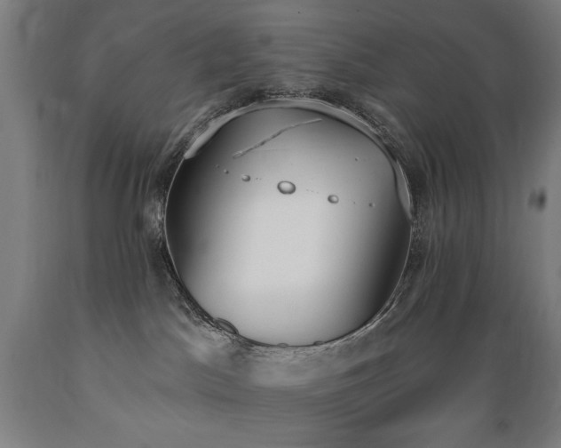 X0000089390045200706221328
