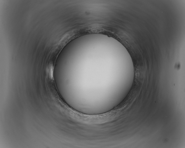 X0000089390046200706221328