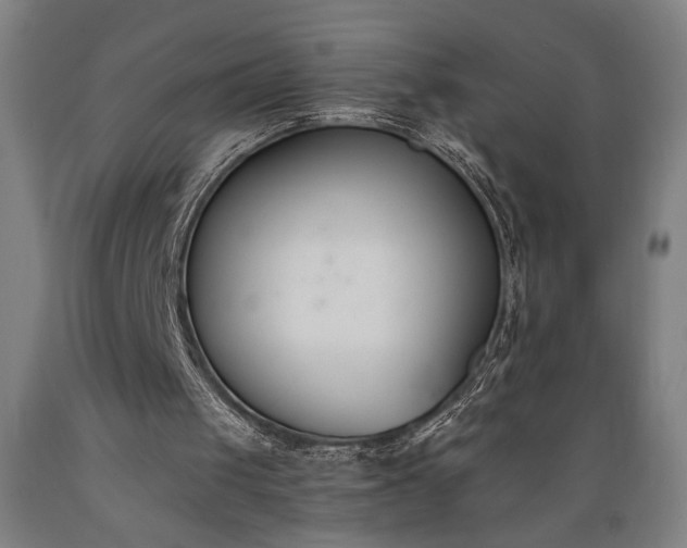 X0000089390049200706221327