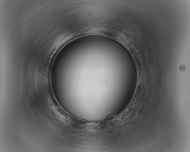 X0000089390050200706221327