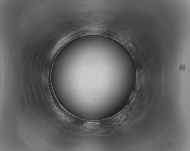 X0000089390051200706221327