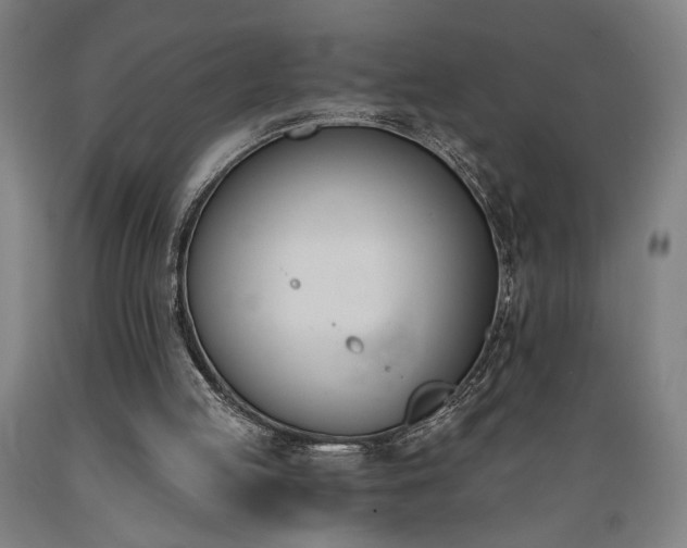 X0000089390053200706221327