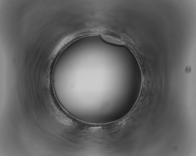 X0000089390054200706221327