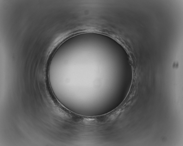 X0000089390055200706221327