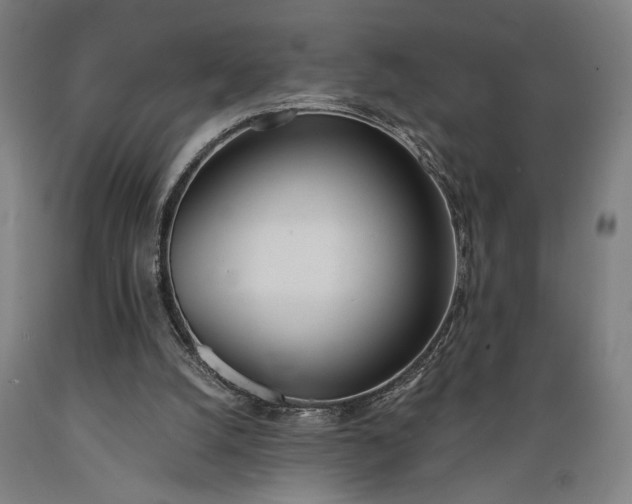 X0000089390056200706221327