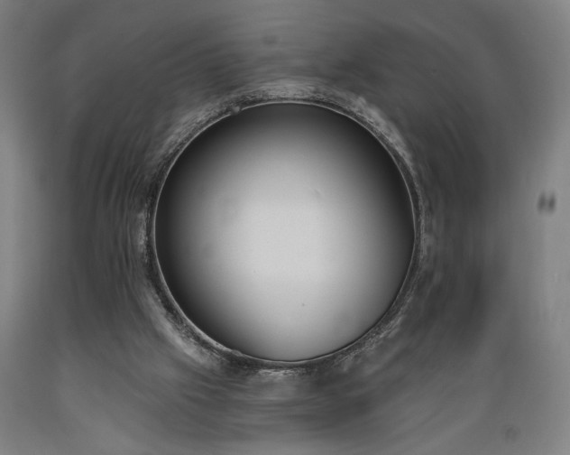 X0000089390057200706221327