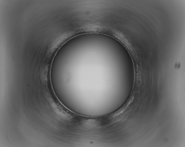 X0000089390058200706221327