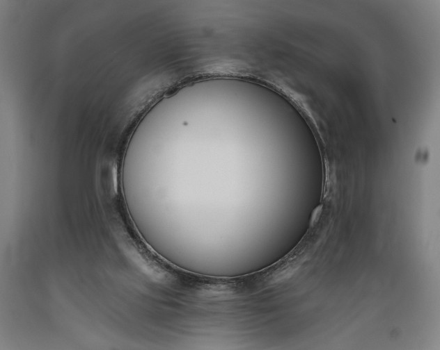 X0000089390061200706221327
