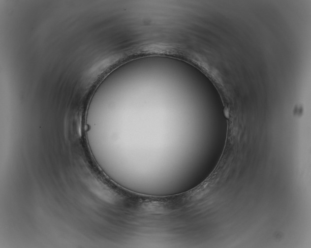 X0000089390062200706221327