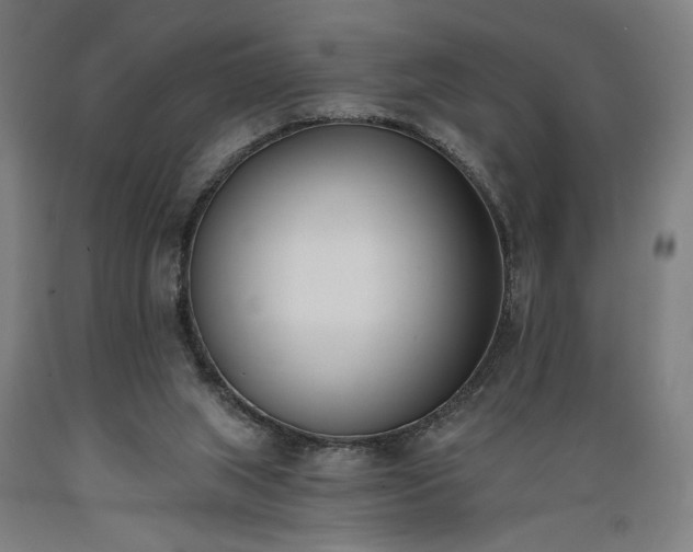 X0000089390063200706221327