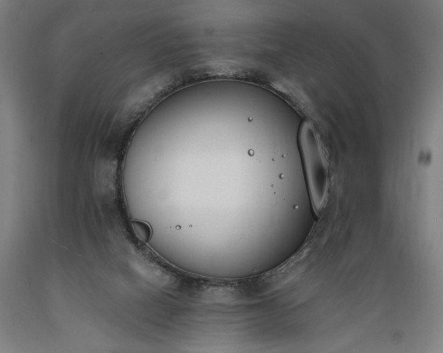 X0000089390066200706221327