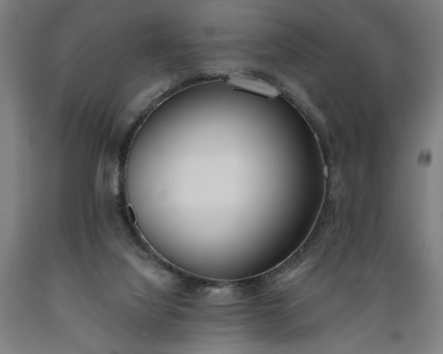 X0000089390068200706221327