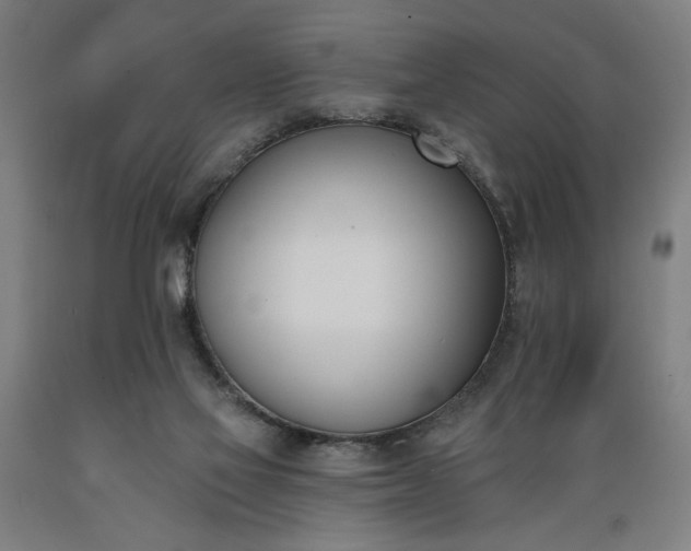 X0000089390069200706221327