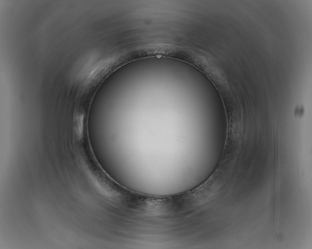 X0000089390070200706221327