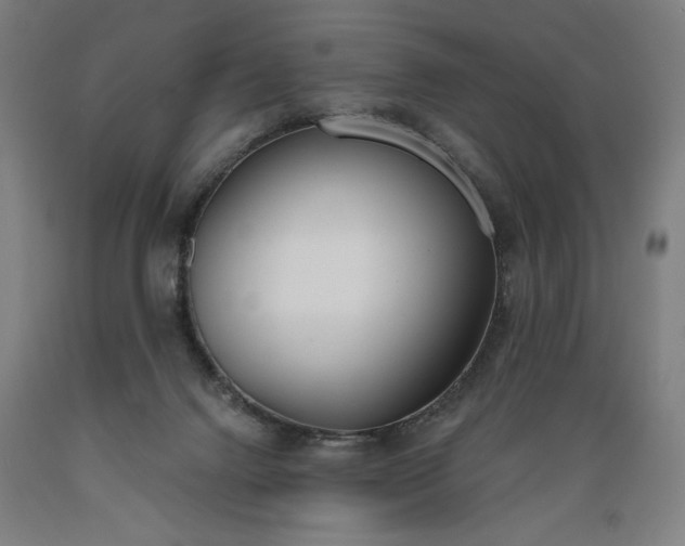 X0000089390072200706221327