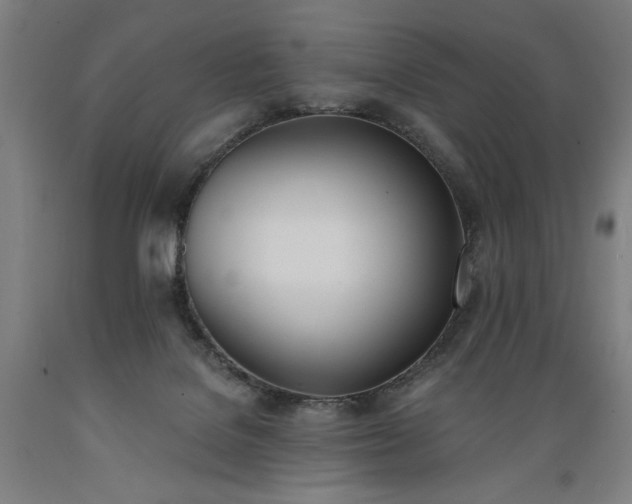 X0000089390076200706221327