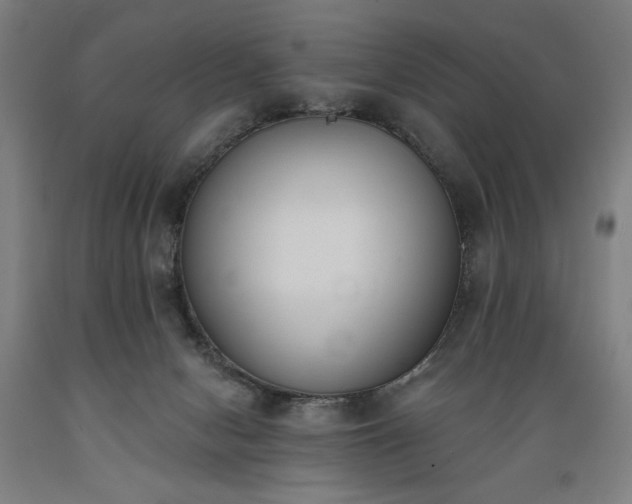 X0000089390078200706221327