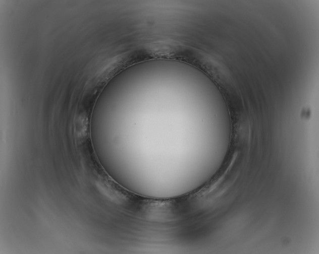 X0000089390081200706221327