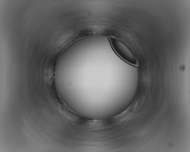 X0000089390082200706221327